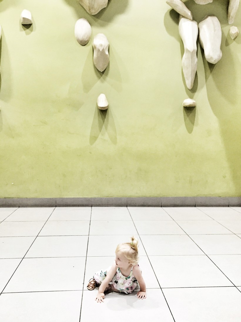 photo-2016-11-05-1-02-22-pm