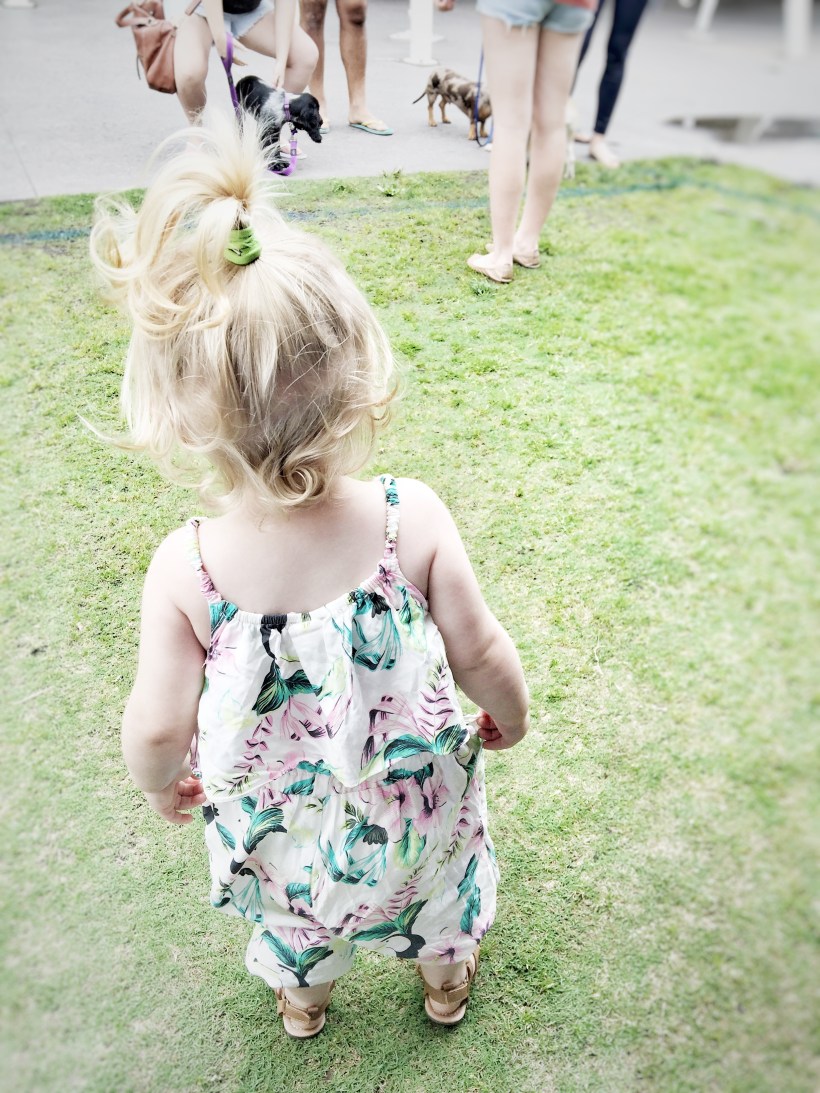 photo-2016-11-05-12-03-11-pm