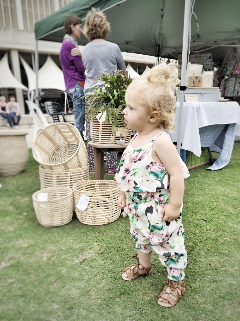 photo-2016-11-05-12-07-42-pm