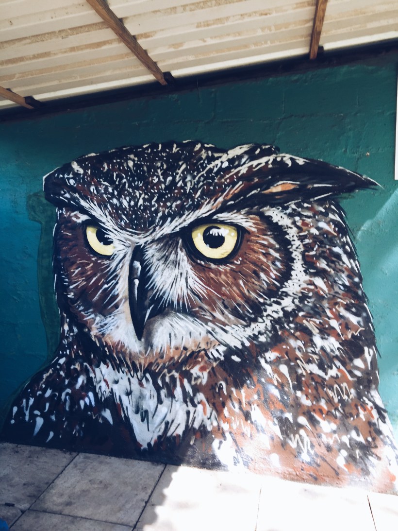 Processed with VSCO with a5 preset