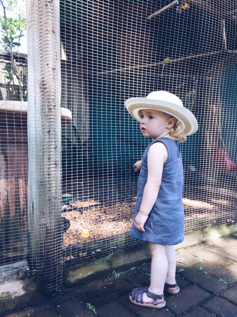 Processed with VSCO with a5 preset