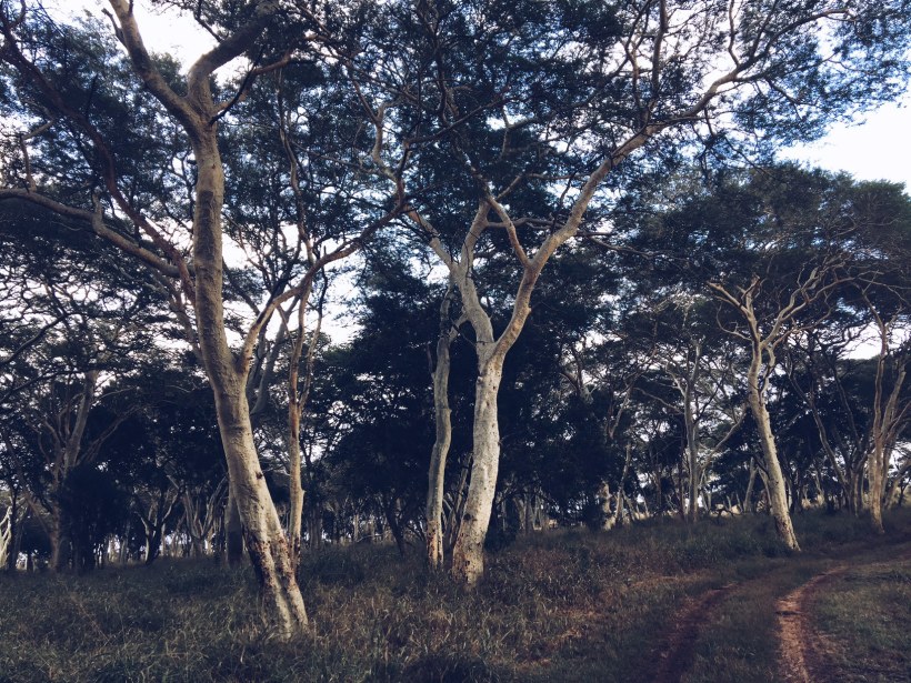 Processed with VSCO with a5 preset