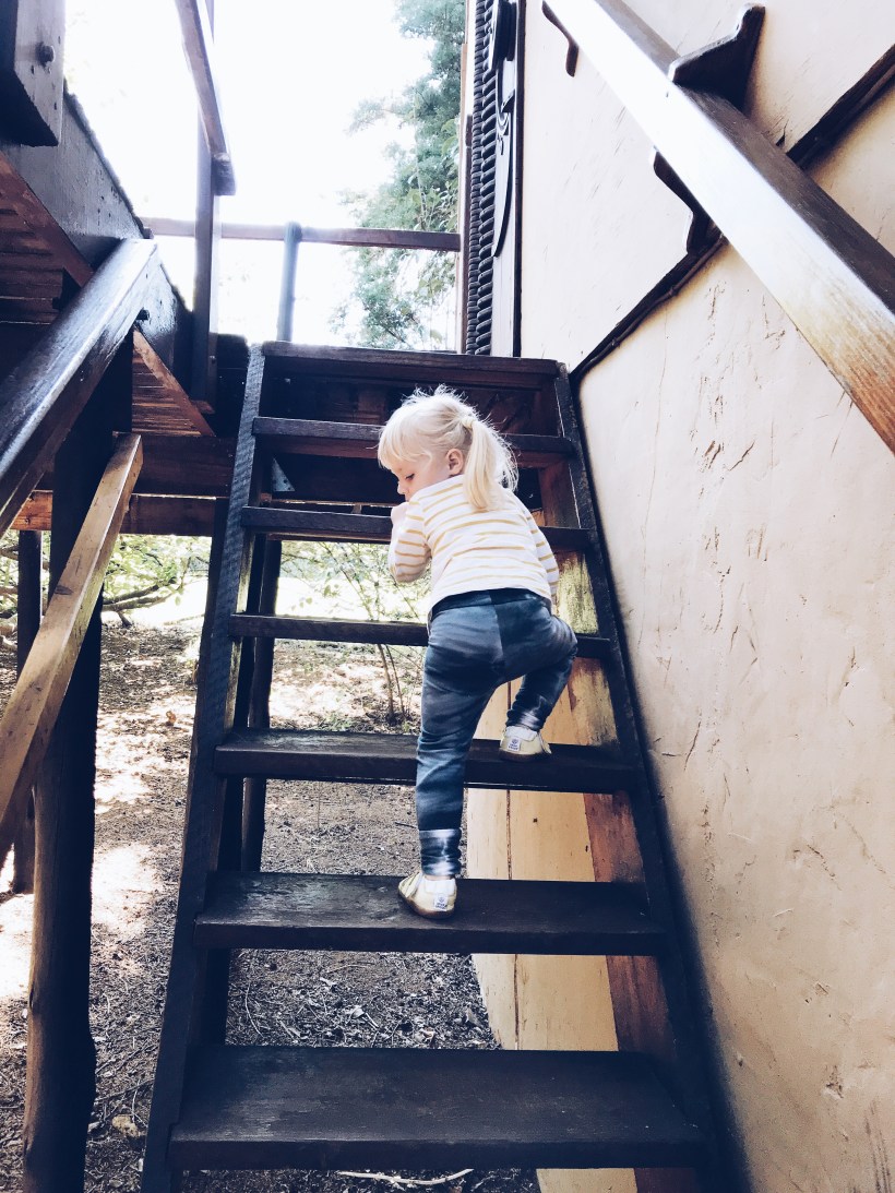 Processed with VSCO with a5 preset