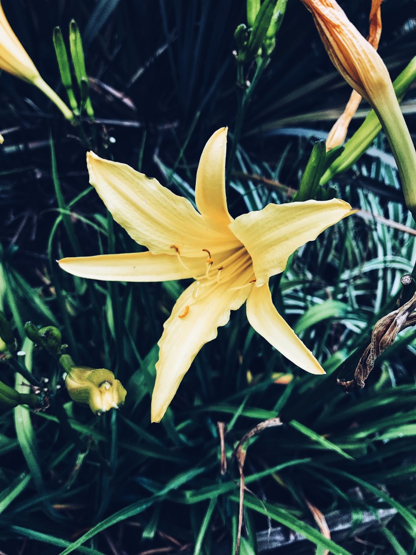 Processed with VSCO with a5 preset