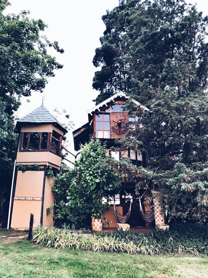 Processed with VSCO with a5 preset