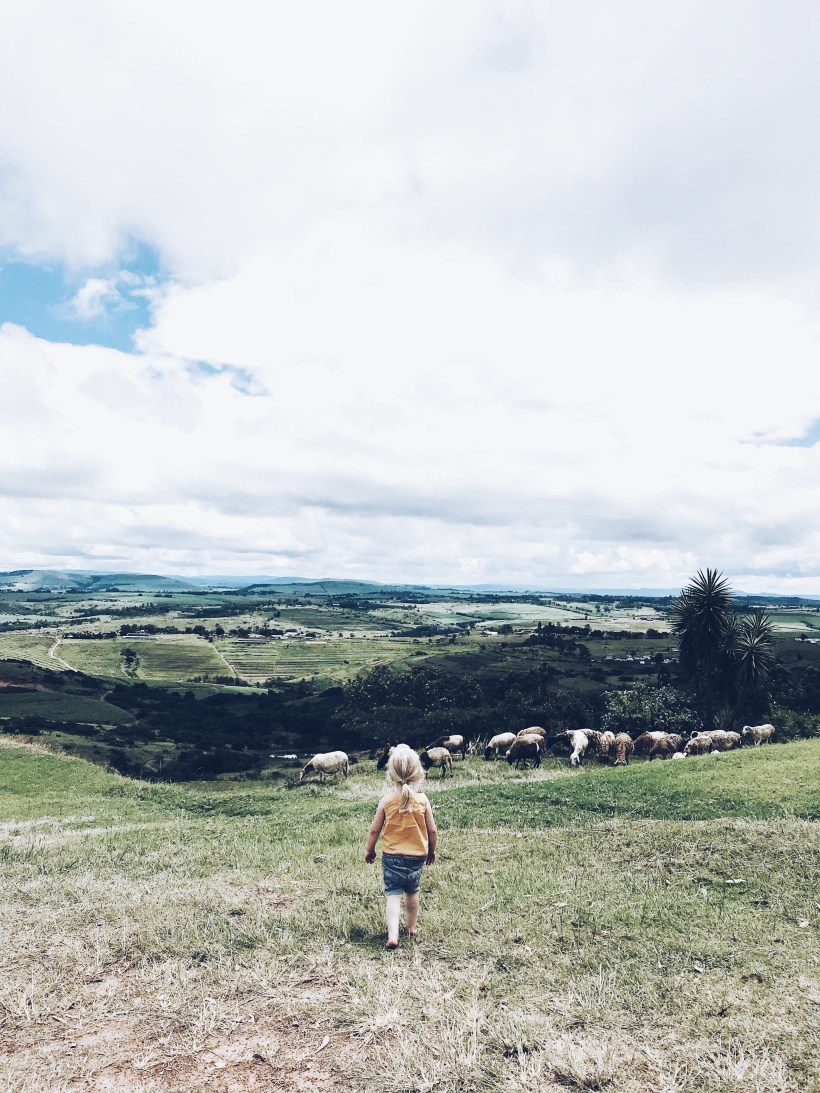 Processed with VSCO with a5 preset