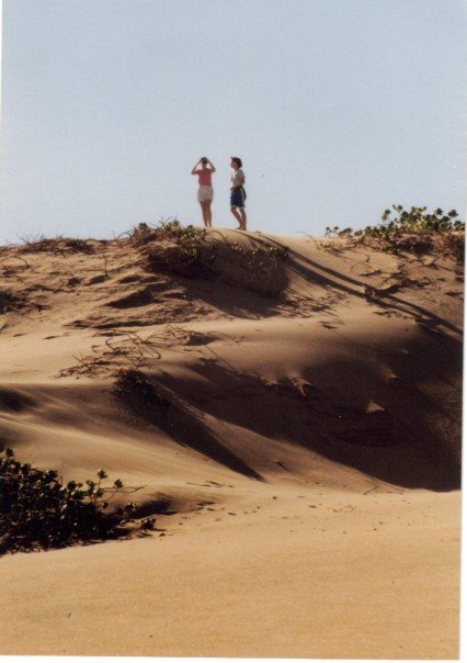 196636_5182246791_2017_n