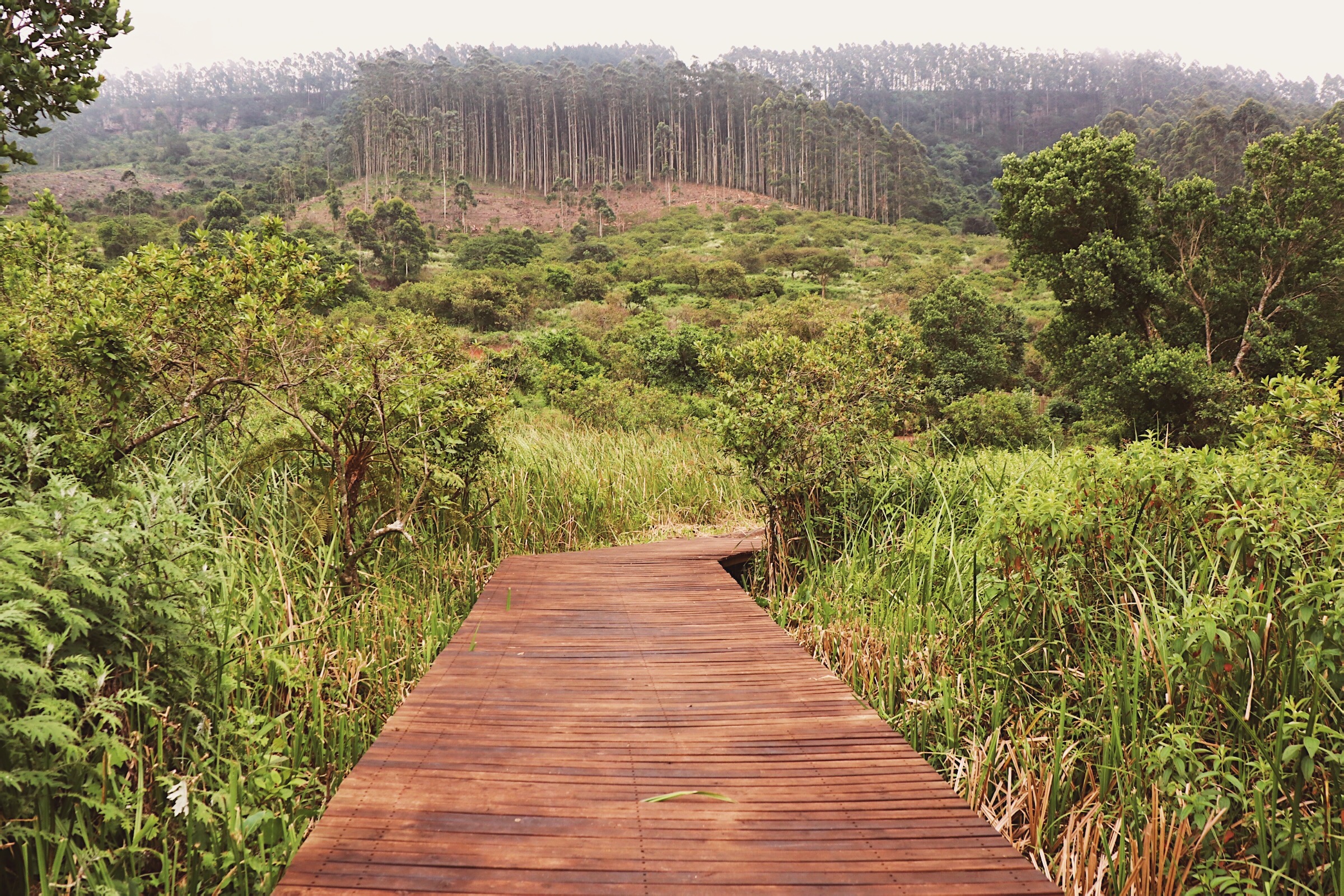 Processed with VSCO with dog1 preset