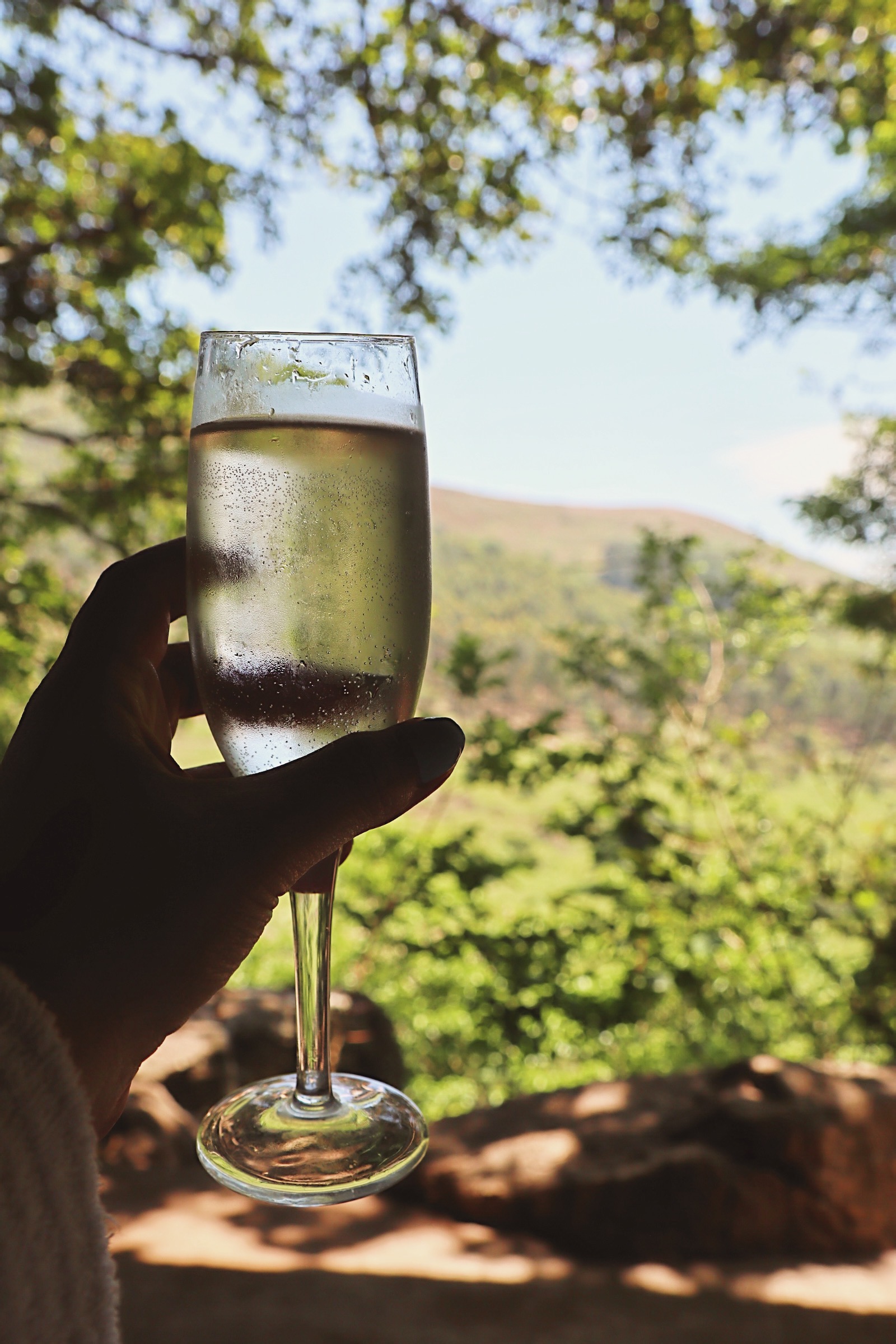 Processed with VSCO with dog1 preset