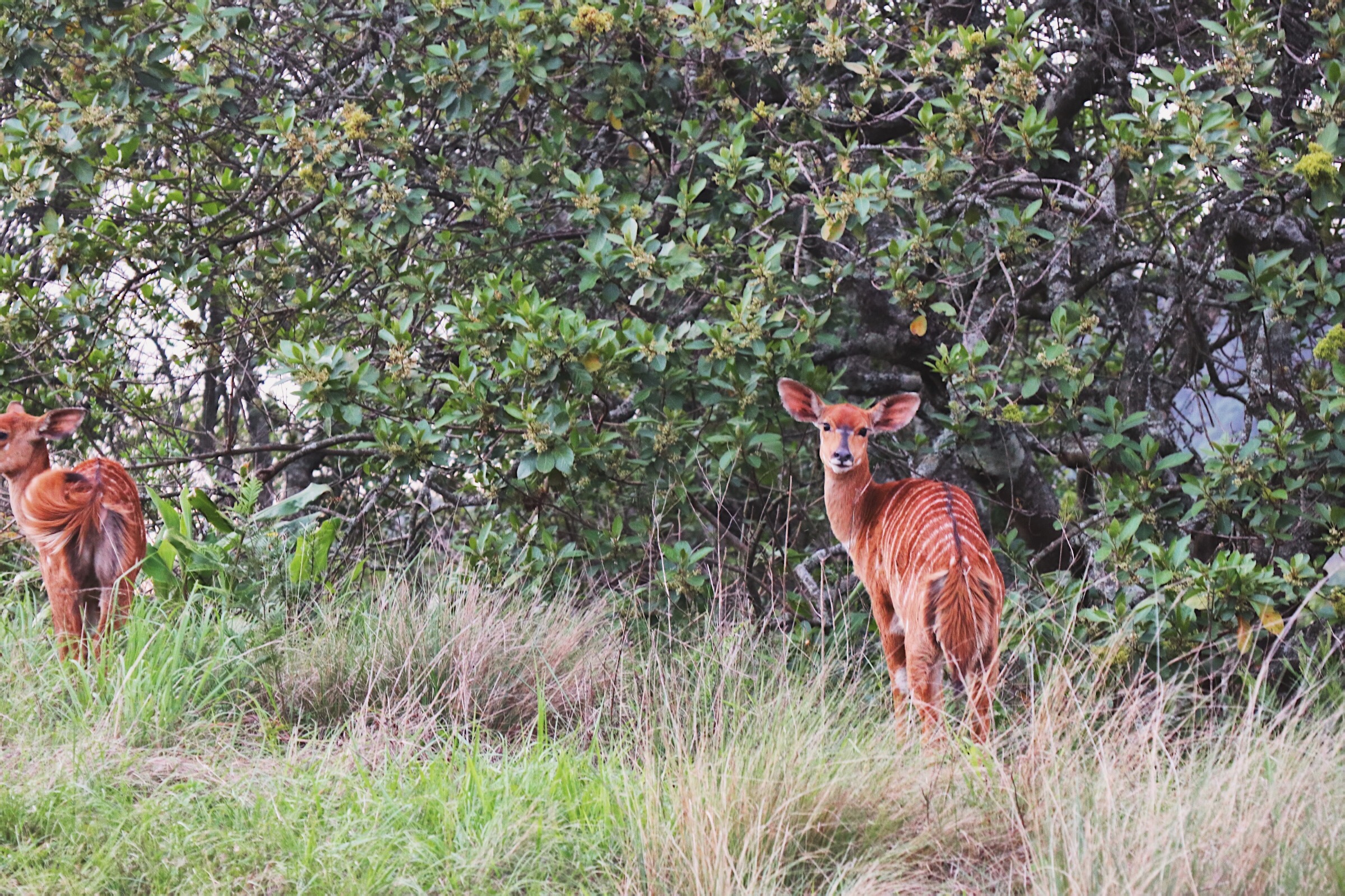 Processed with VSCO with dog1 preset