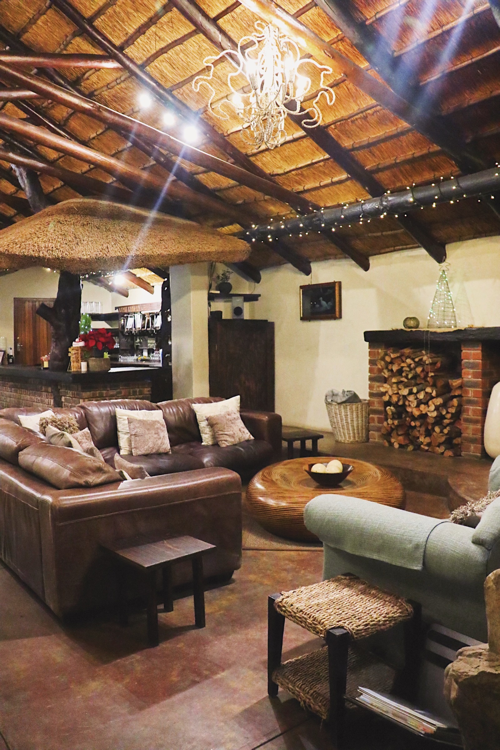 Processed with VSCO with dog1 preset