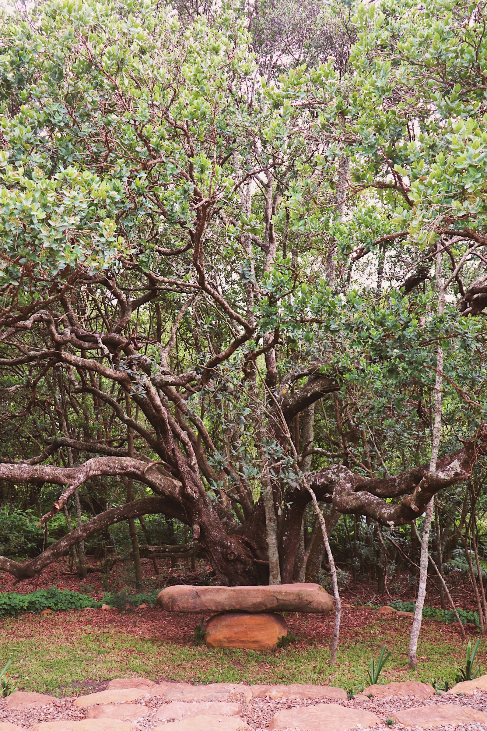 Processed with VSCO with dog1 preset